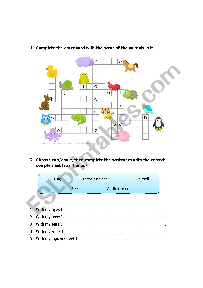 animals and wh questions worksheet