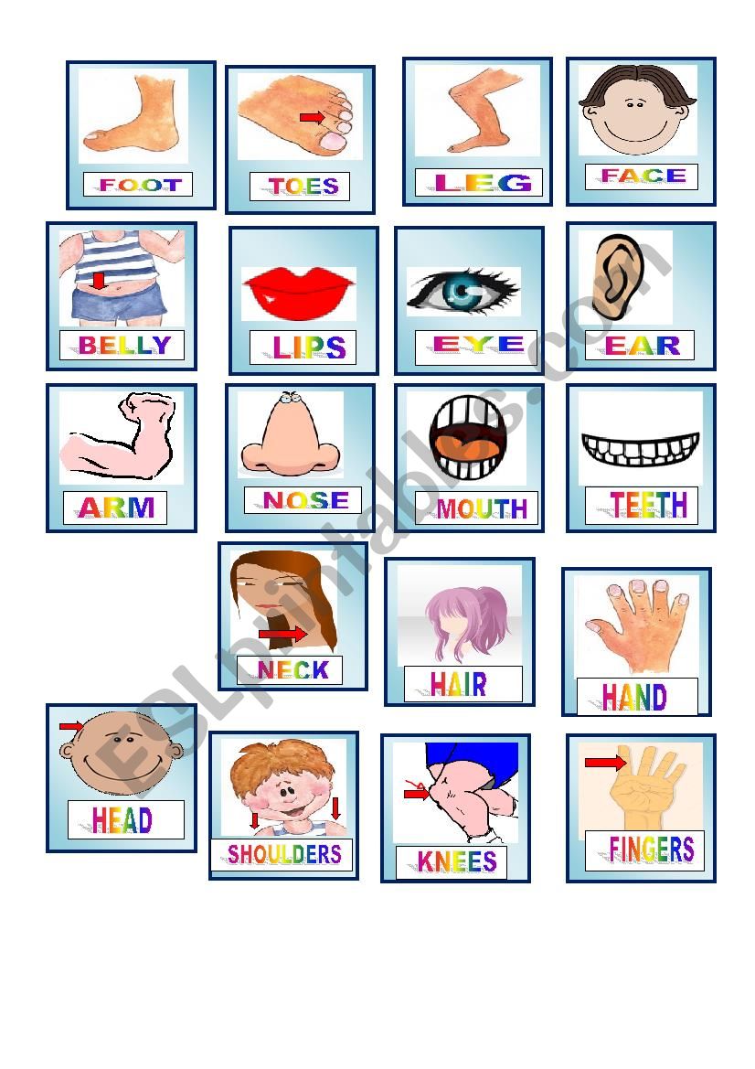 MEMORY GAME ( PARTS OF THE BODY)