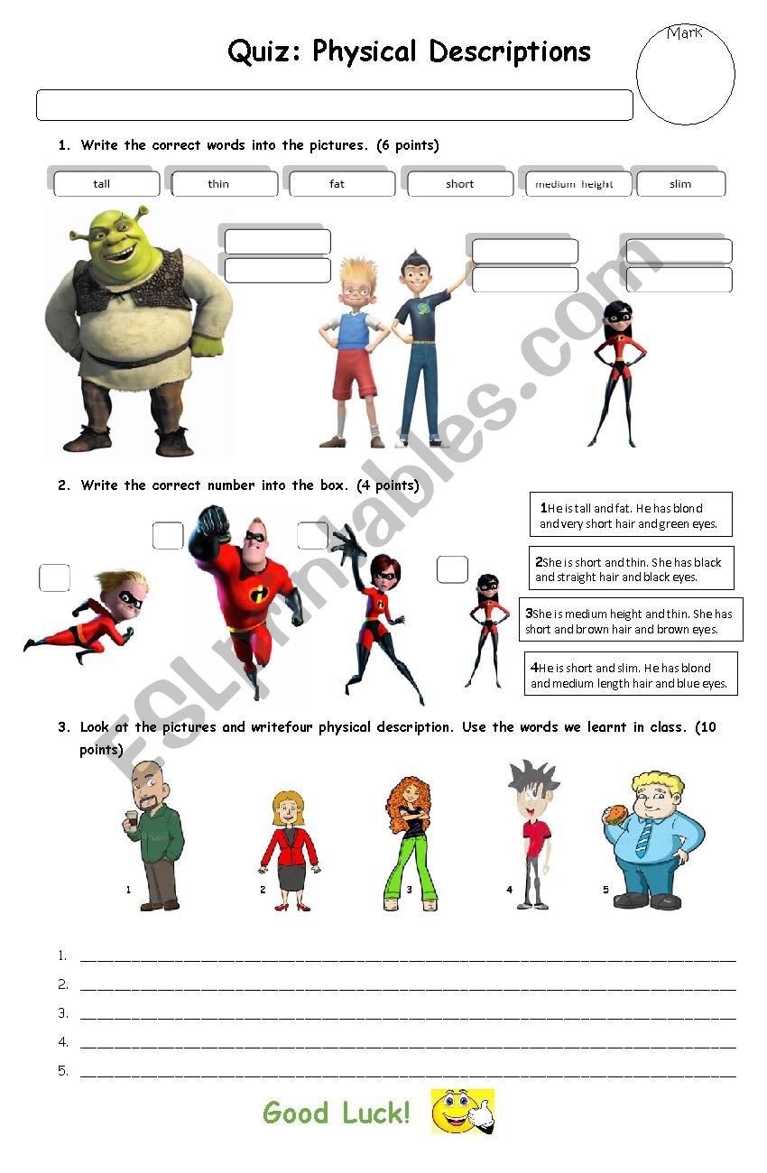 physical description worksheet