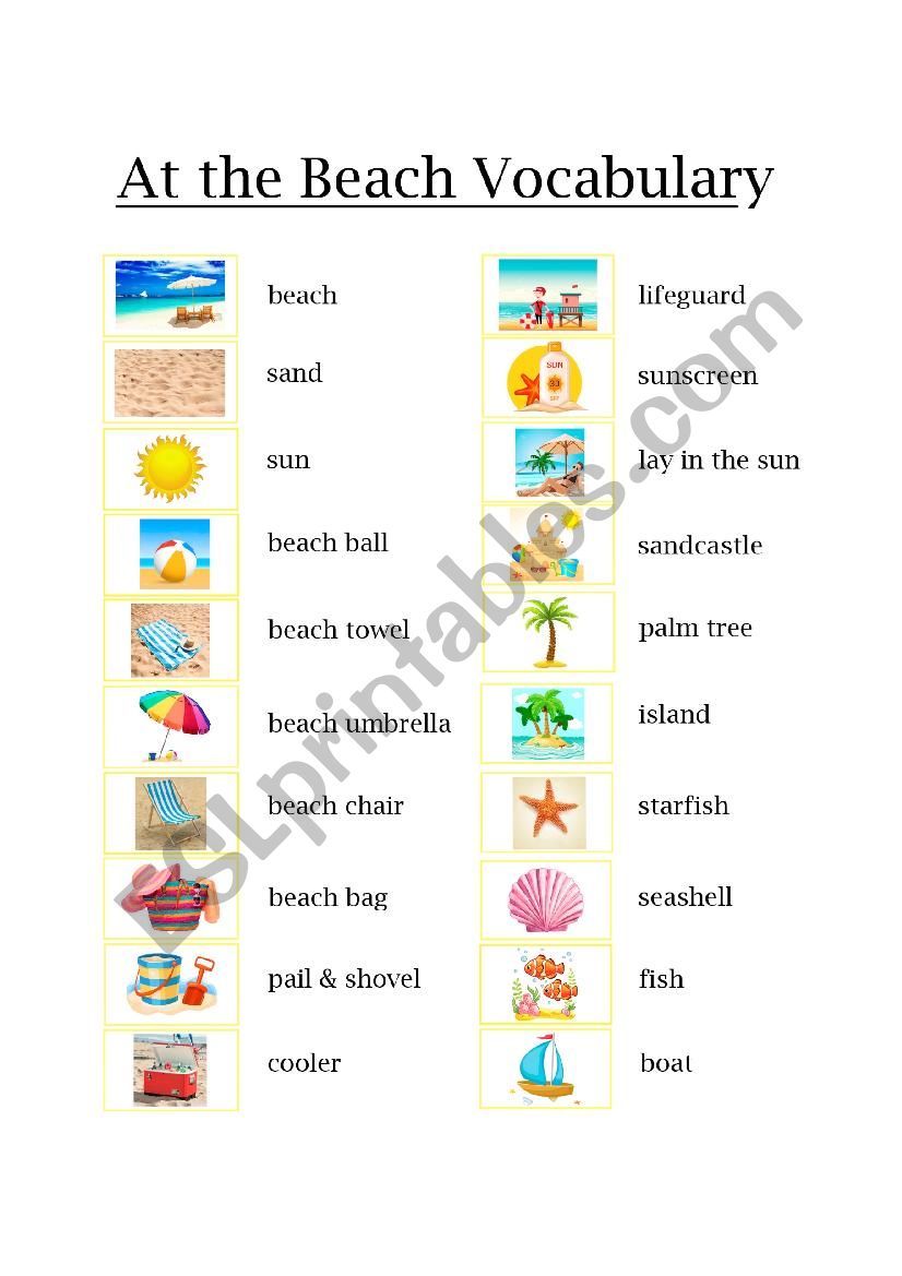 Beach Vocabulary worksheet