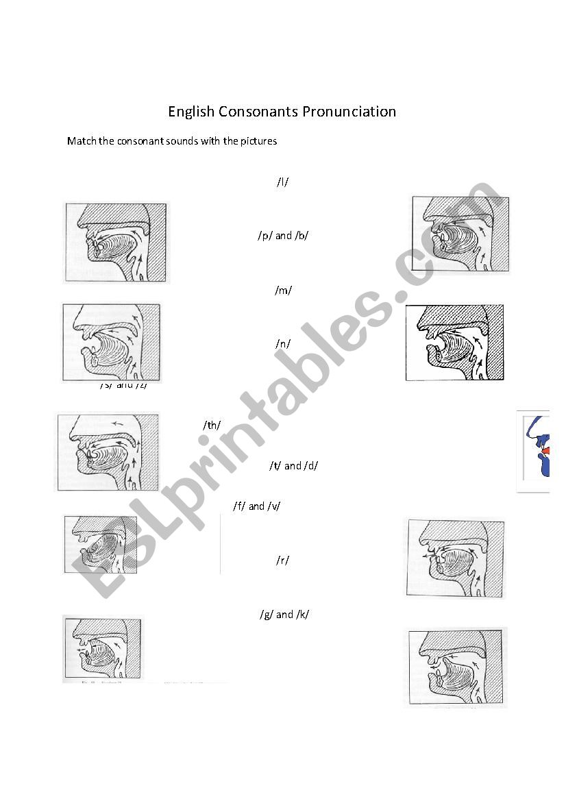 Pronunciation - Points of Articulation for Consonants and Vowels