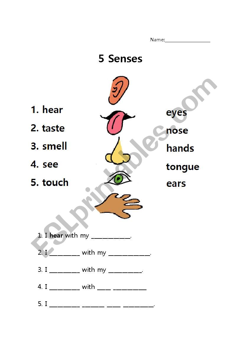 5 Senses Writing Worksheet - Fully Editable - ESL worksheet by brucescrews