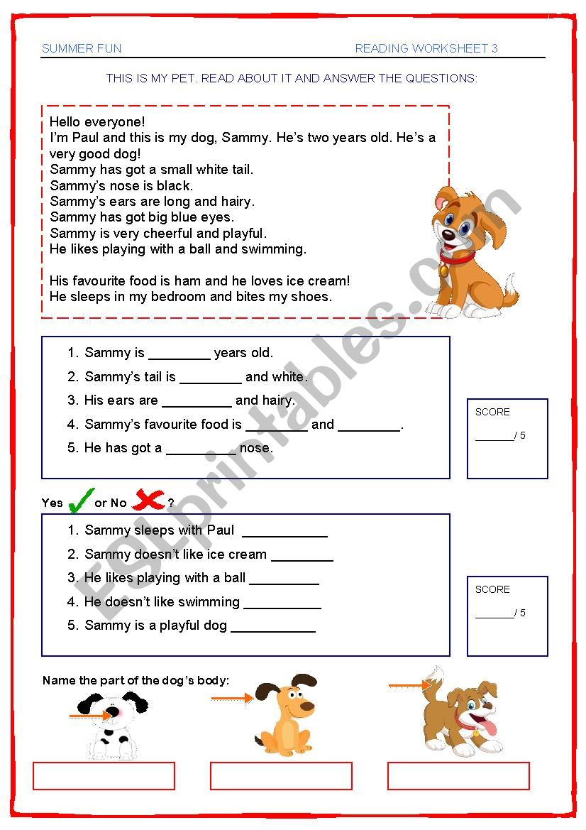 Summer Fun - Reading 3 worksheet