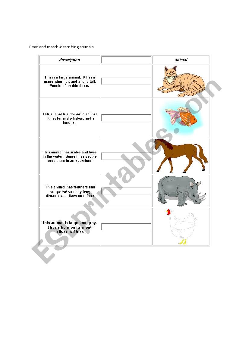 describing animals worksheet