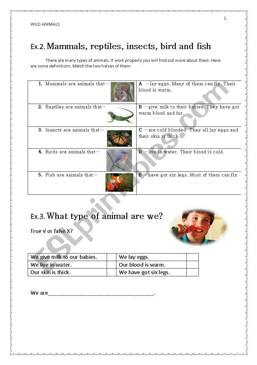 Wild animals 2 worksheet