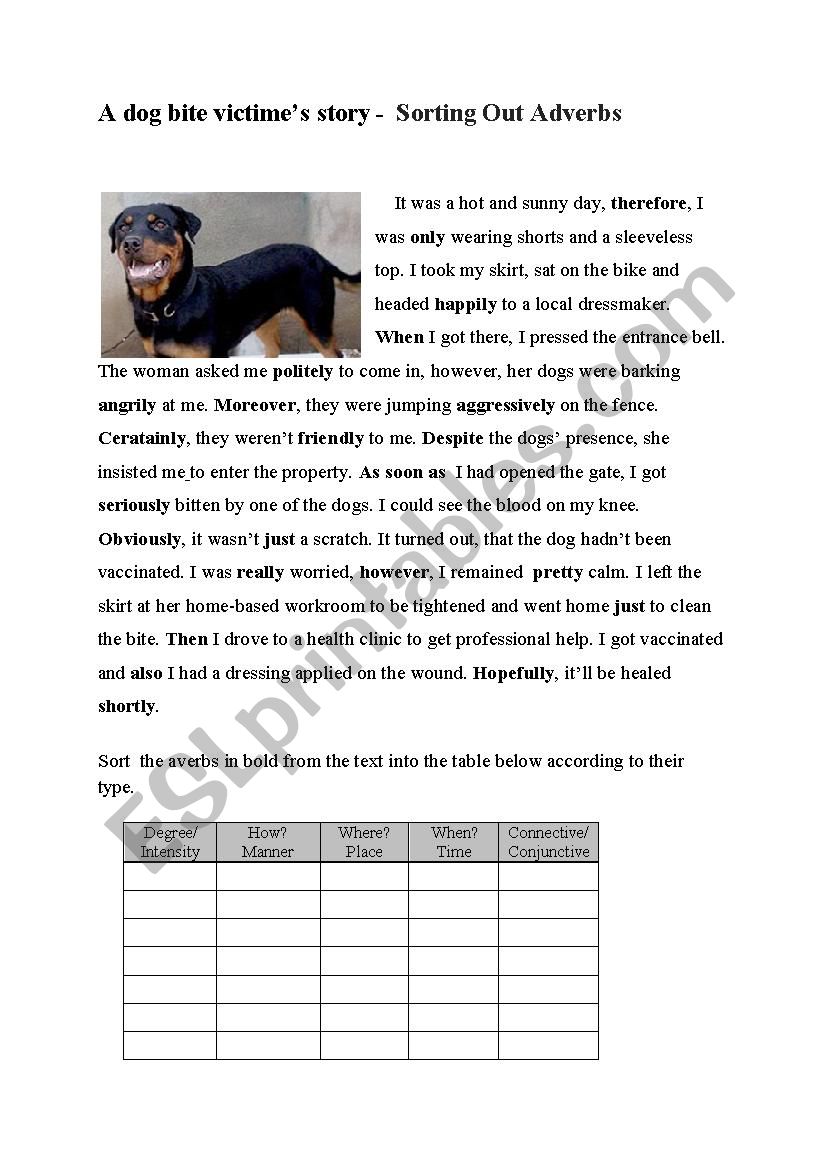 Adverbs and The True Story  key included