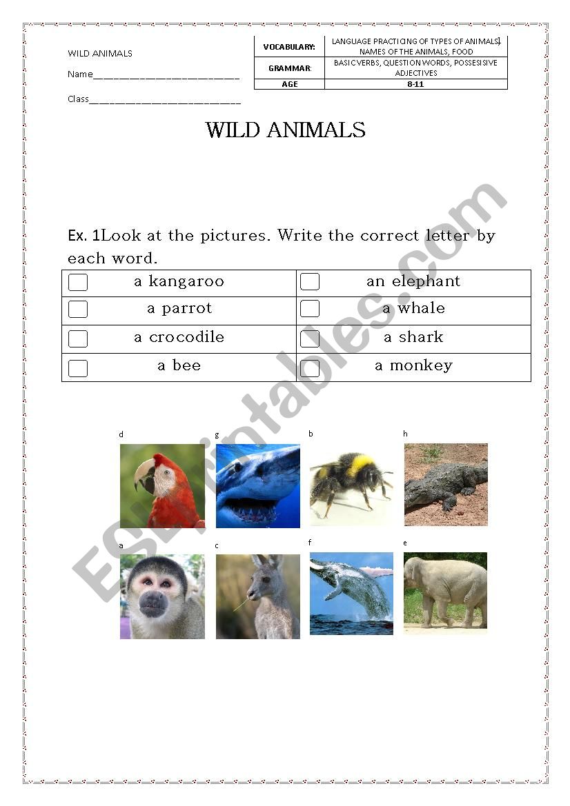 Wild animals 1 worksheet