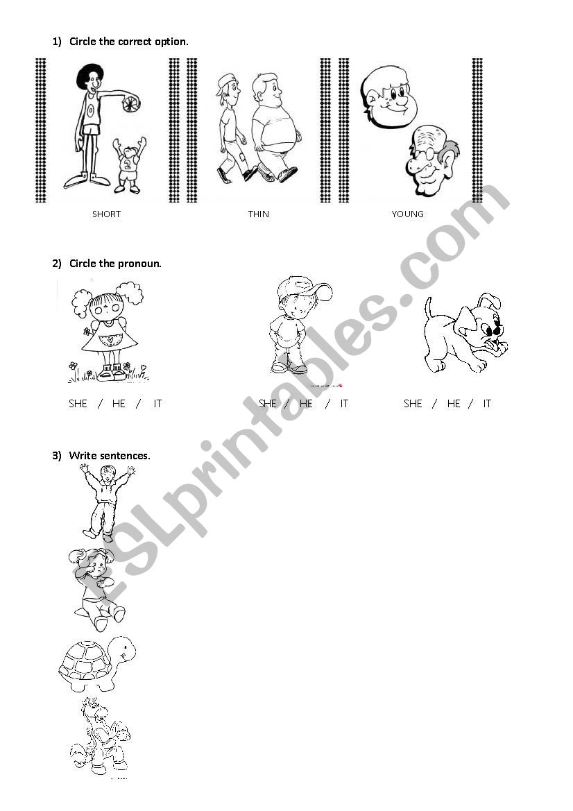 Pronouns and opposites worksheet