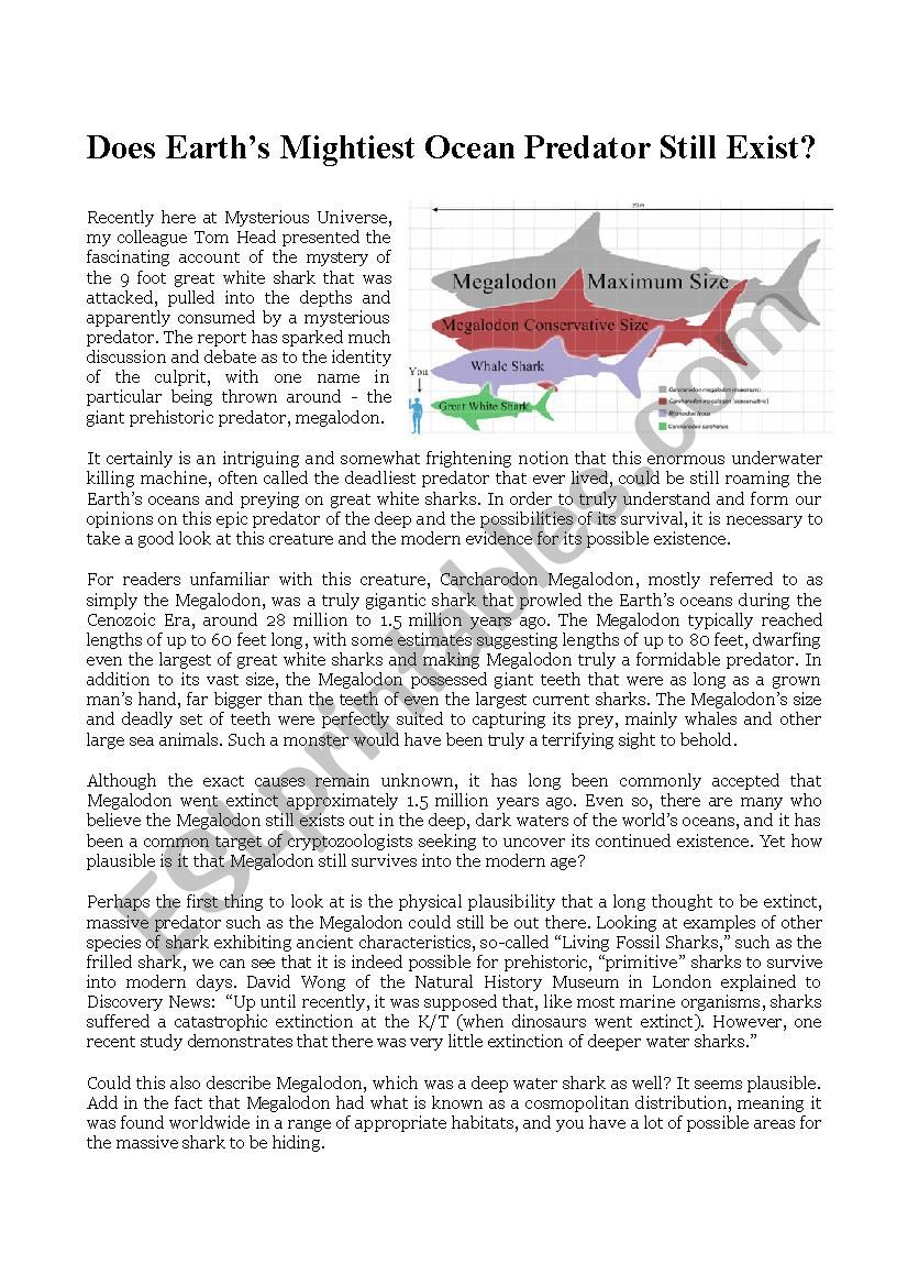 Mystery of the Megalodon worksheet