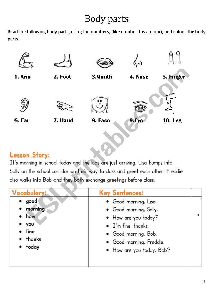 body parts and greetings worksheet