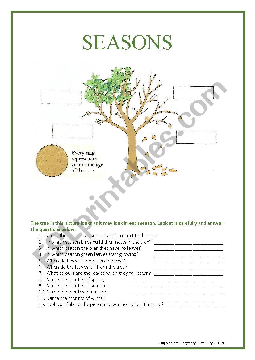 Seasons worksheet