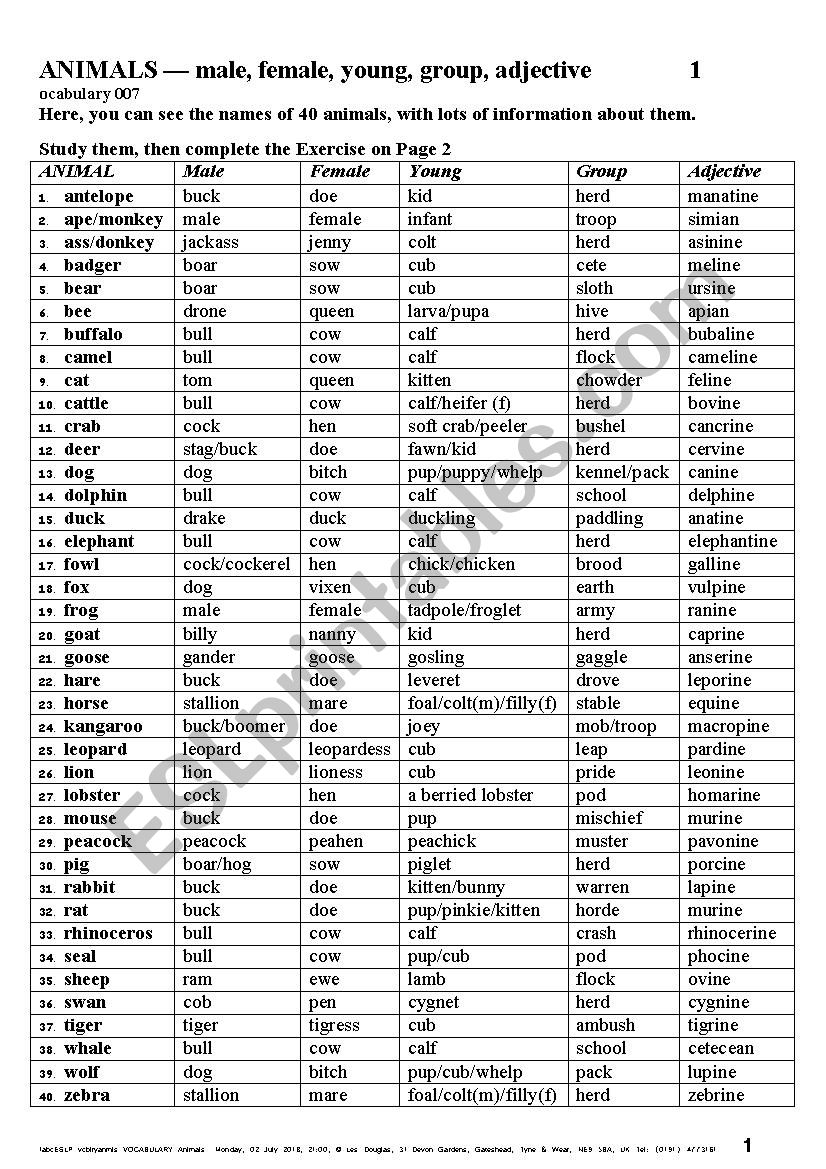 VOCABULARY 006 Animals, M, F, Young, Group, Adj - ESL worksheet by  ldthemagicman