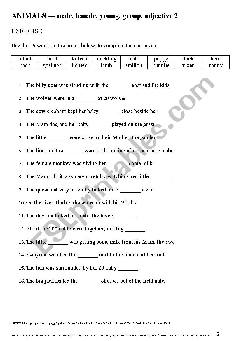 VOCABULARY 006 Animals, M, F, Young, Group, Adj - ESL worksheet by  ldthemagicman