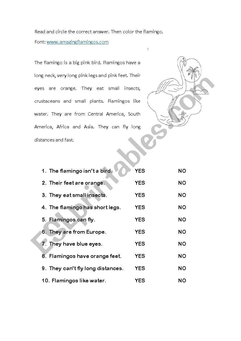 Reading for begginers worksheet