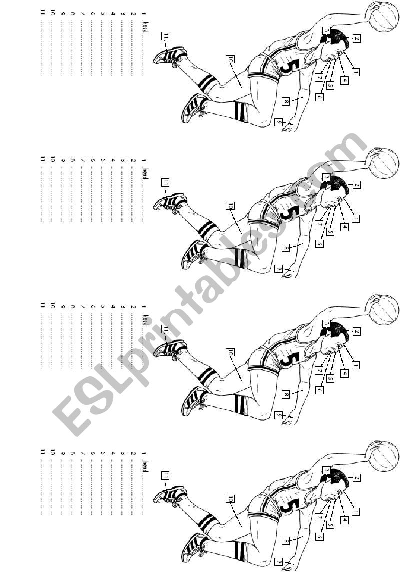 Bady Parts worksheet