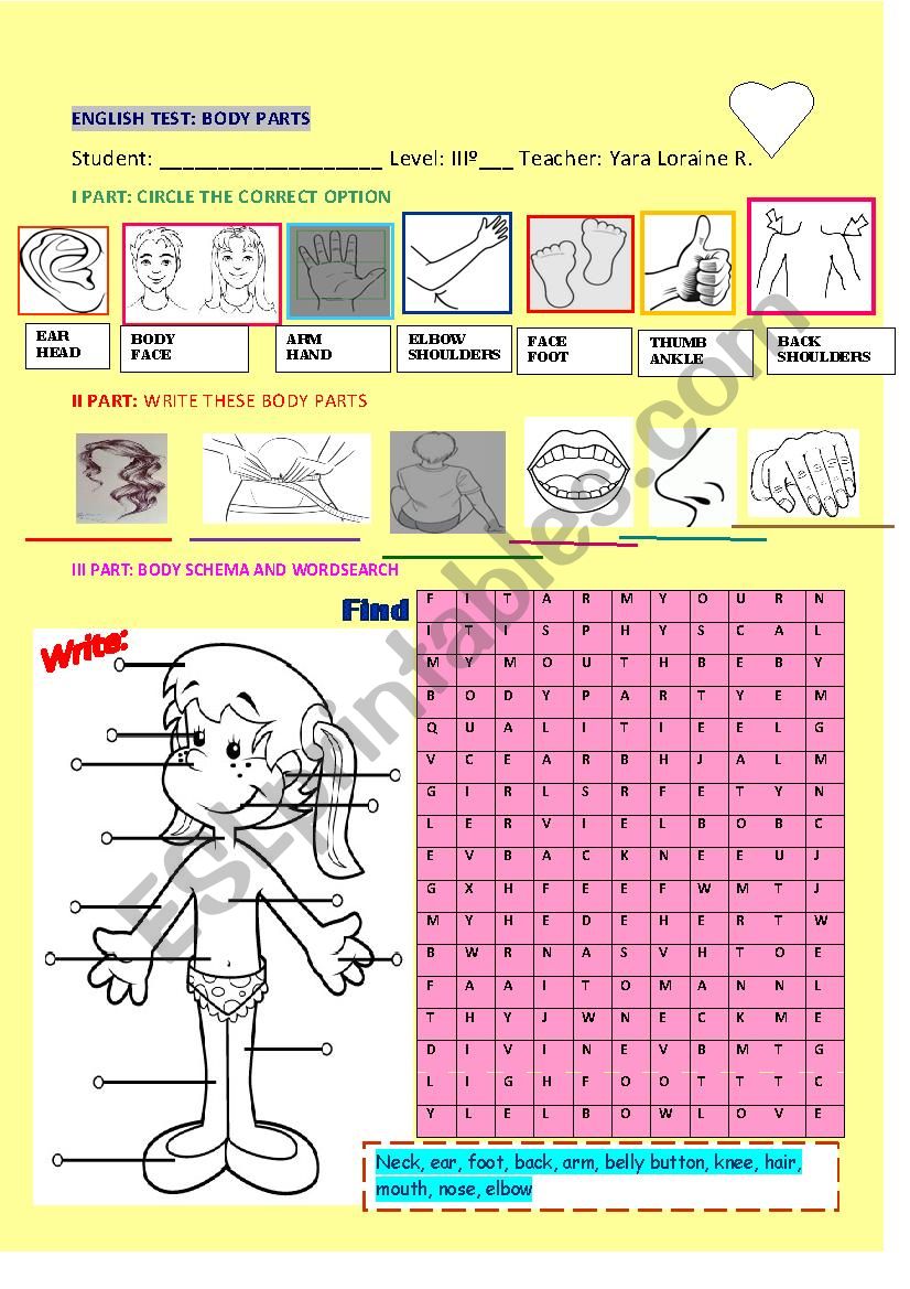 BODY PARTS TEST worksheet