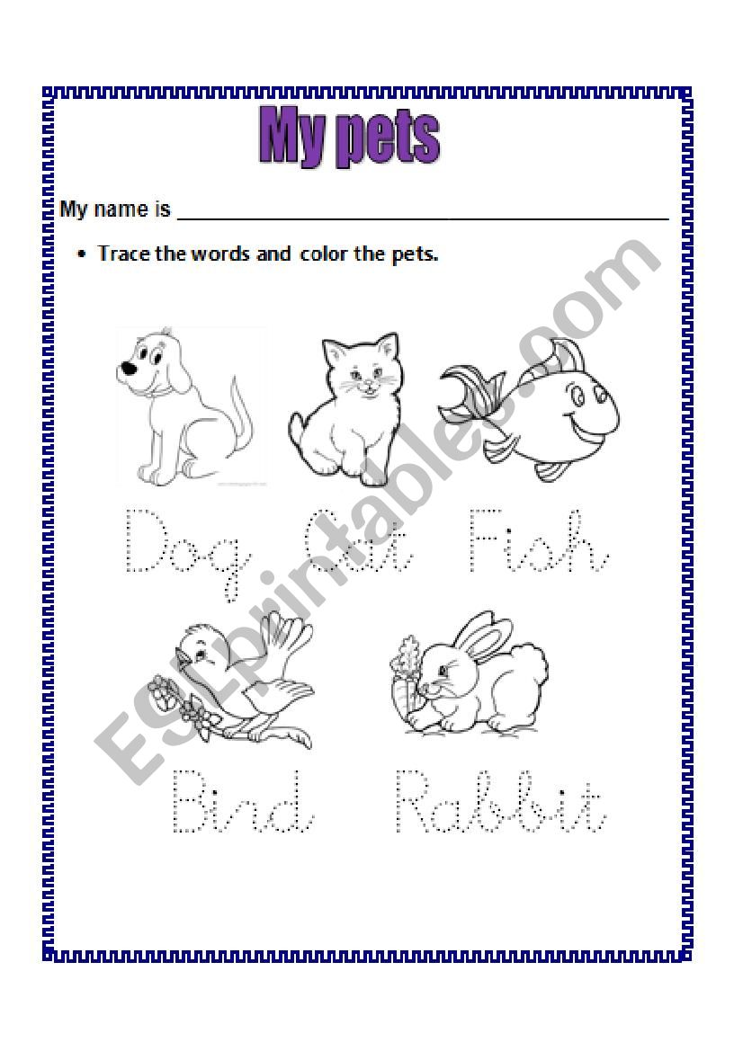 Pets worksheet