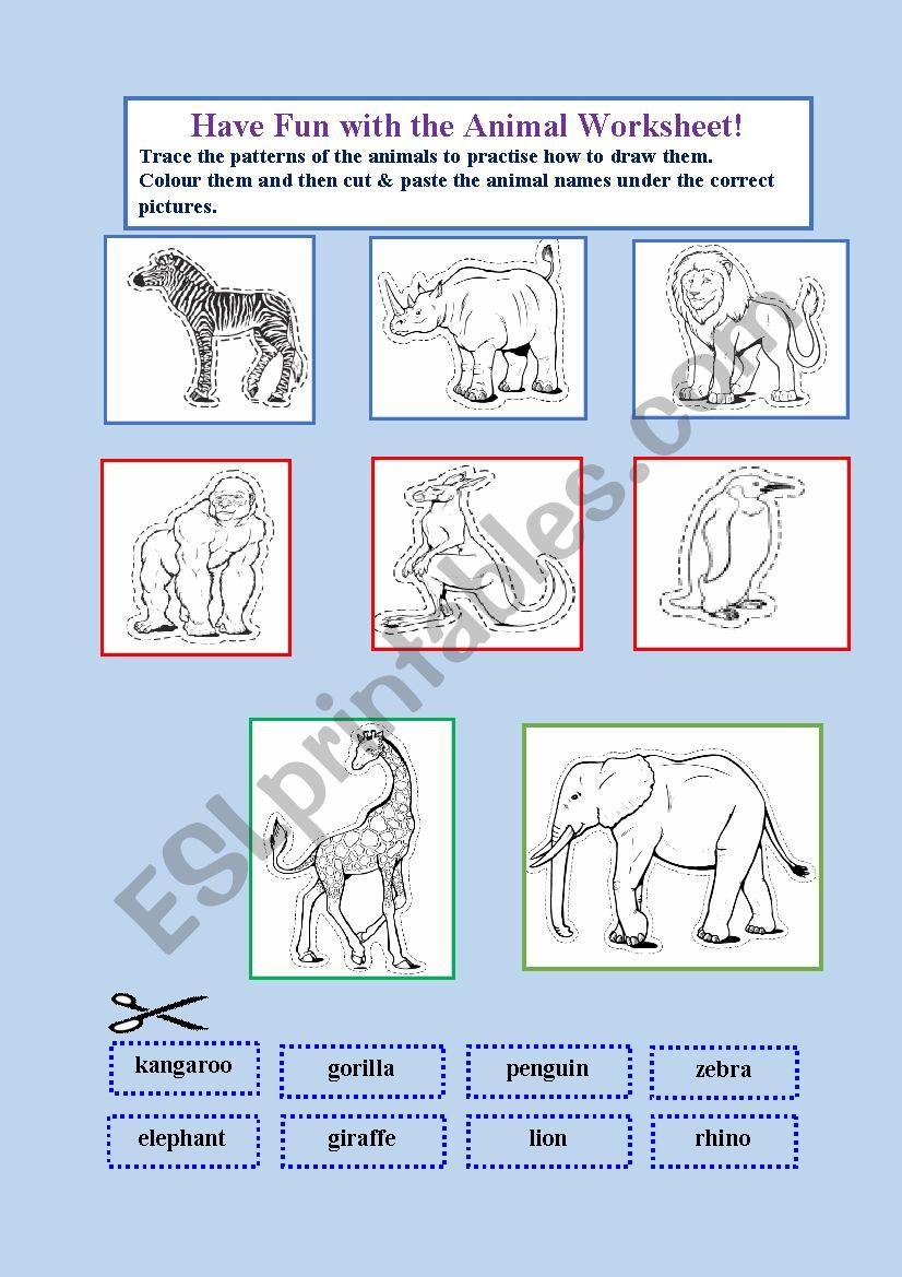 Animal Fun Worksheet worksheet