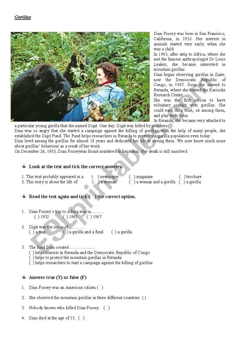 Gorillas in the Mist worksheet