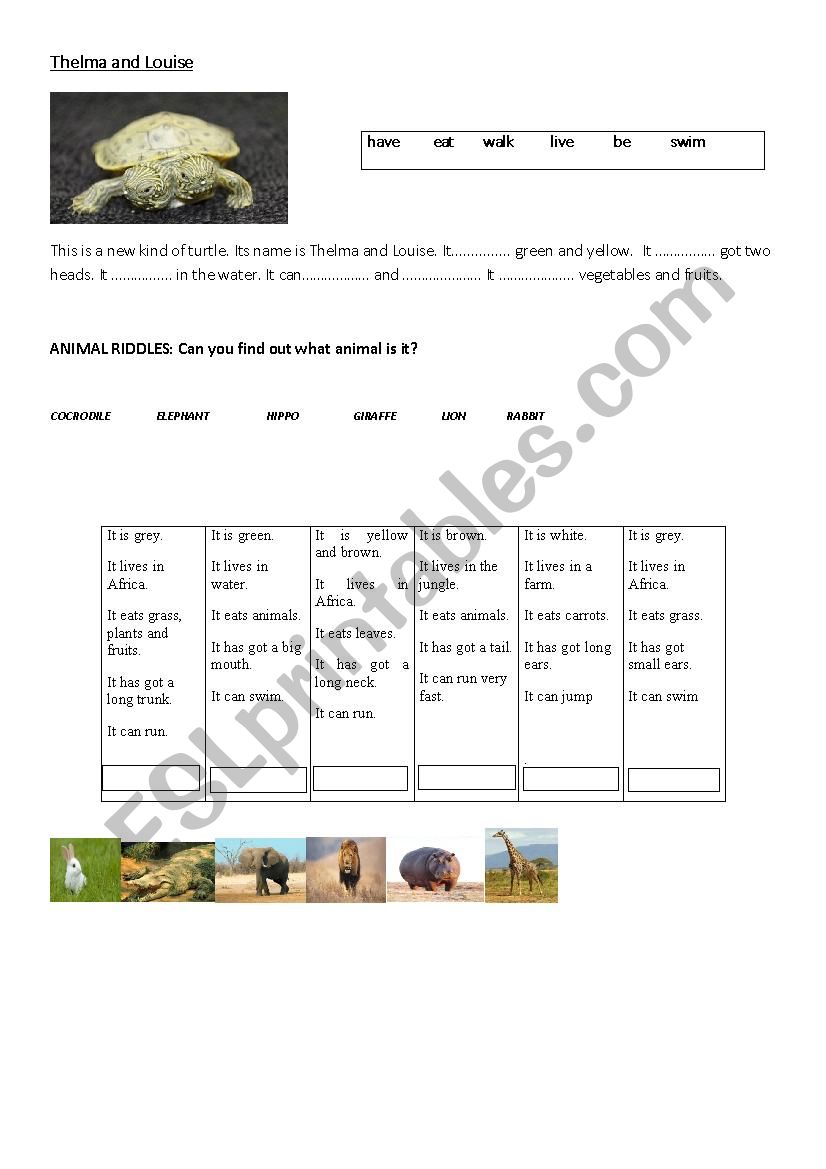 Wild animals worksheet