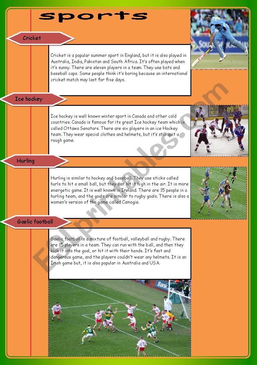 SPORTS worksheet