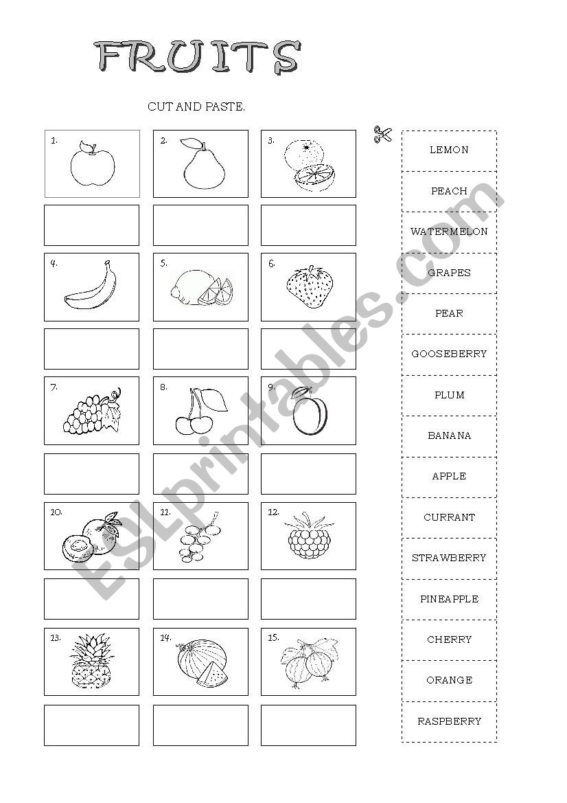 FRUITS worksheet
