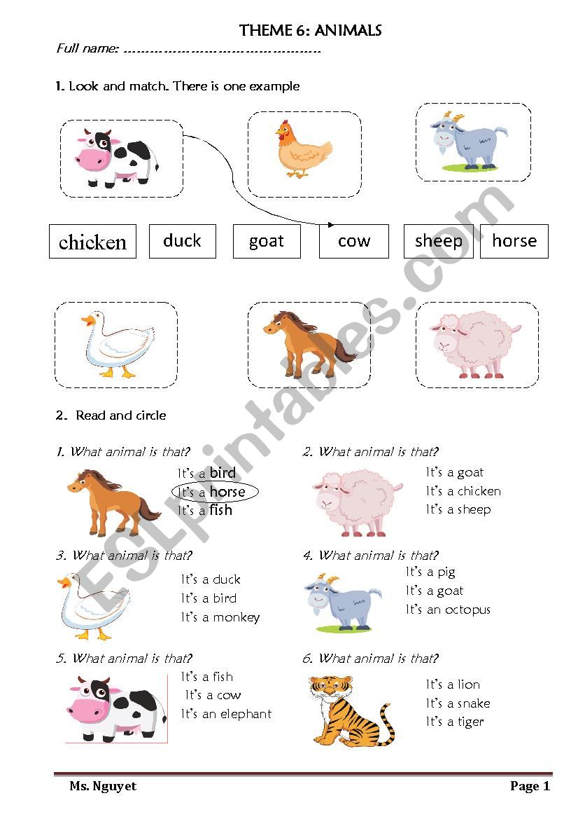 ANIMALS worksheet