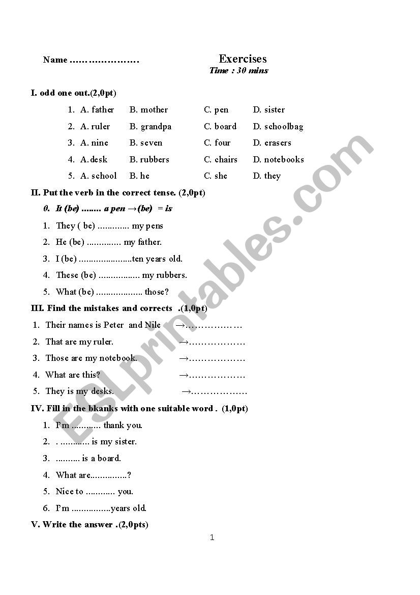 exercises worksheet