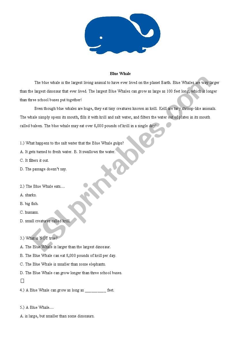 Reading Practice : Blue whale worksheet