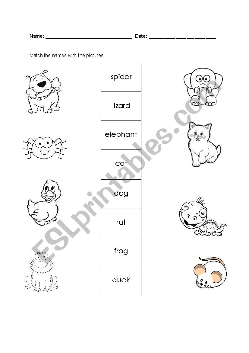 Pet Show worksheet