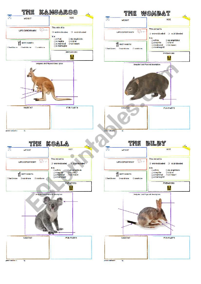 australian animals fact blank posters