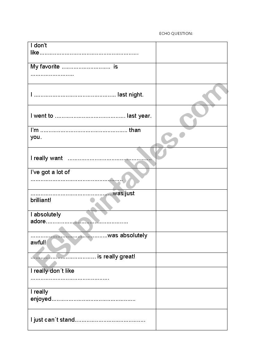 Echo questions practice worksheet