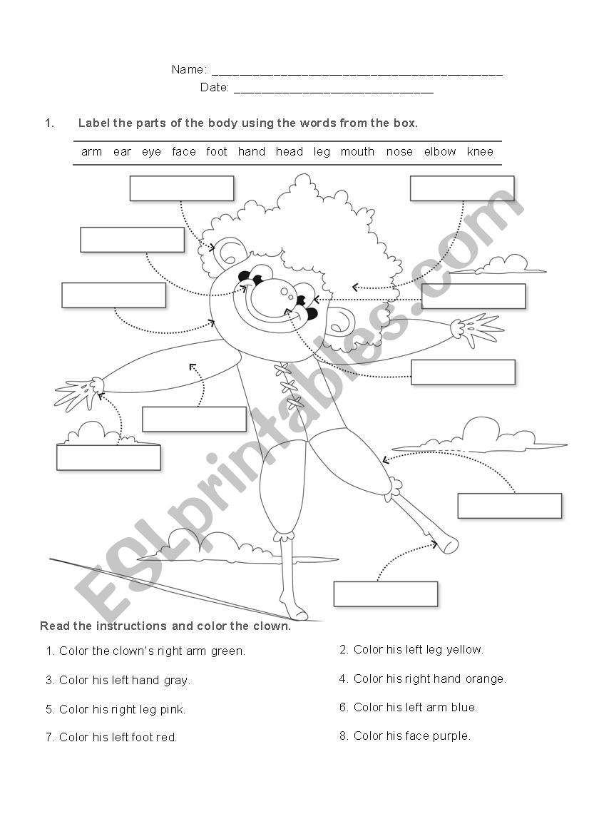 Parts of the body worksheet