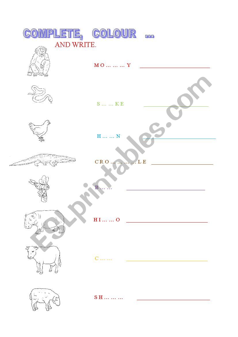 ANIMALS worksheet