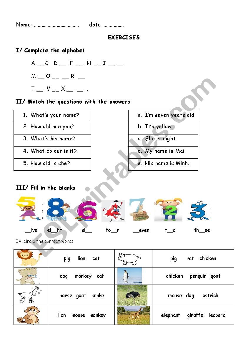 exercises worksheet