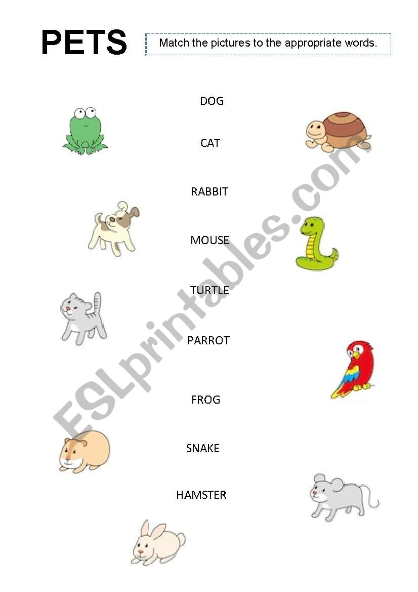 Pets worksheet