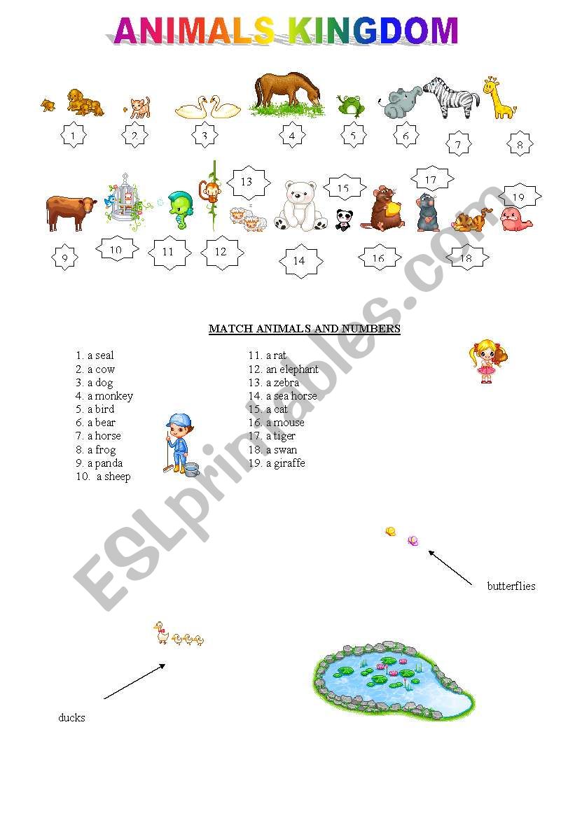 animals kingdom worksheet