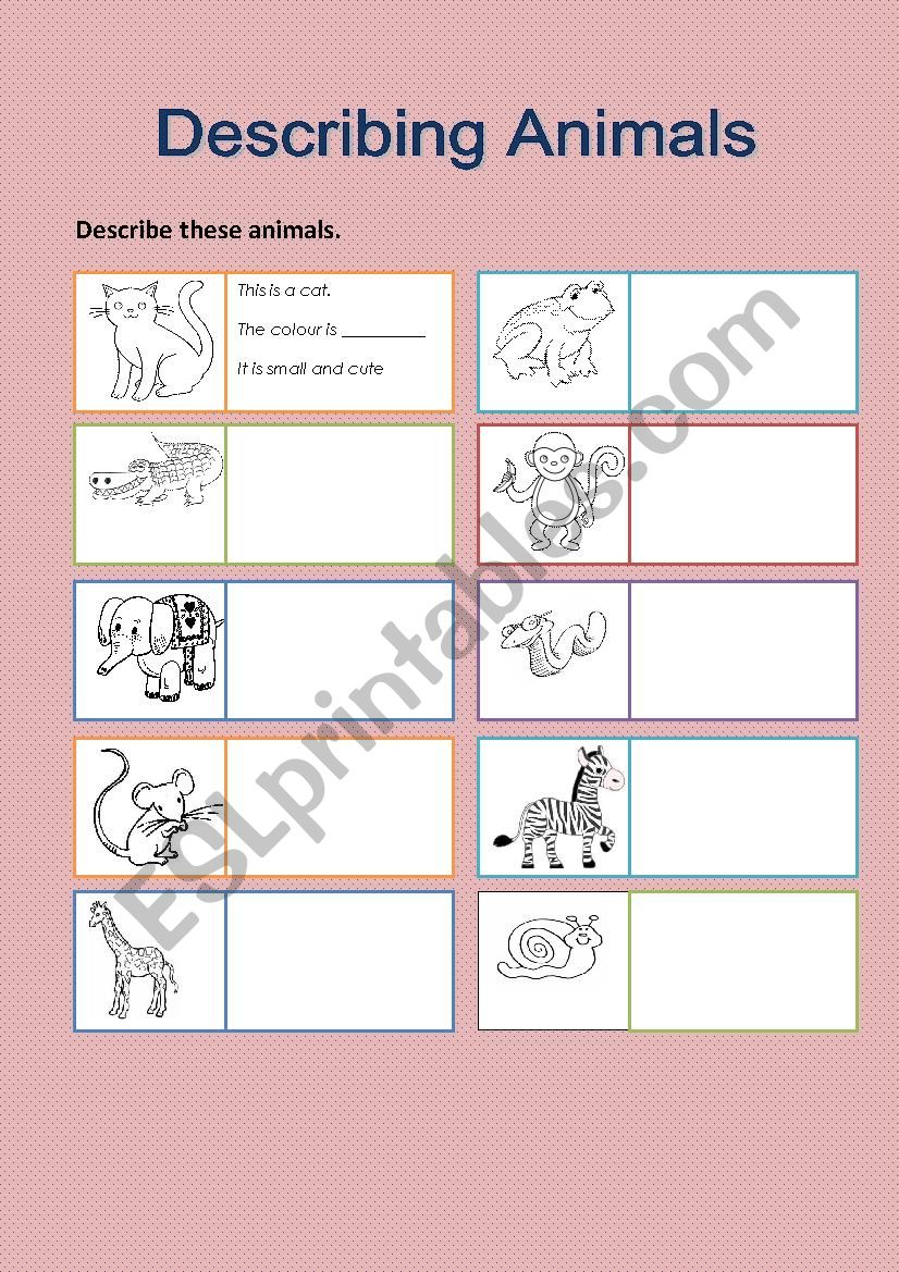 describing animals worksheet