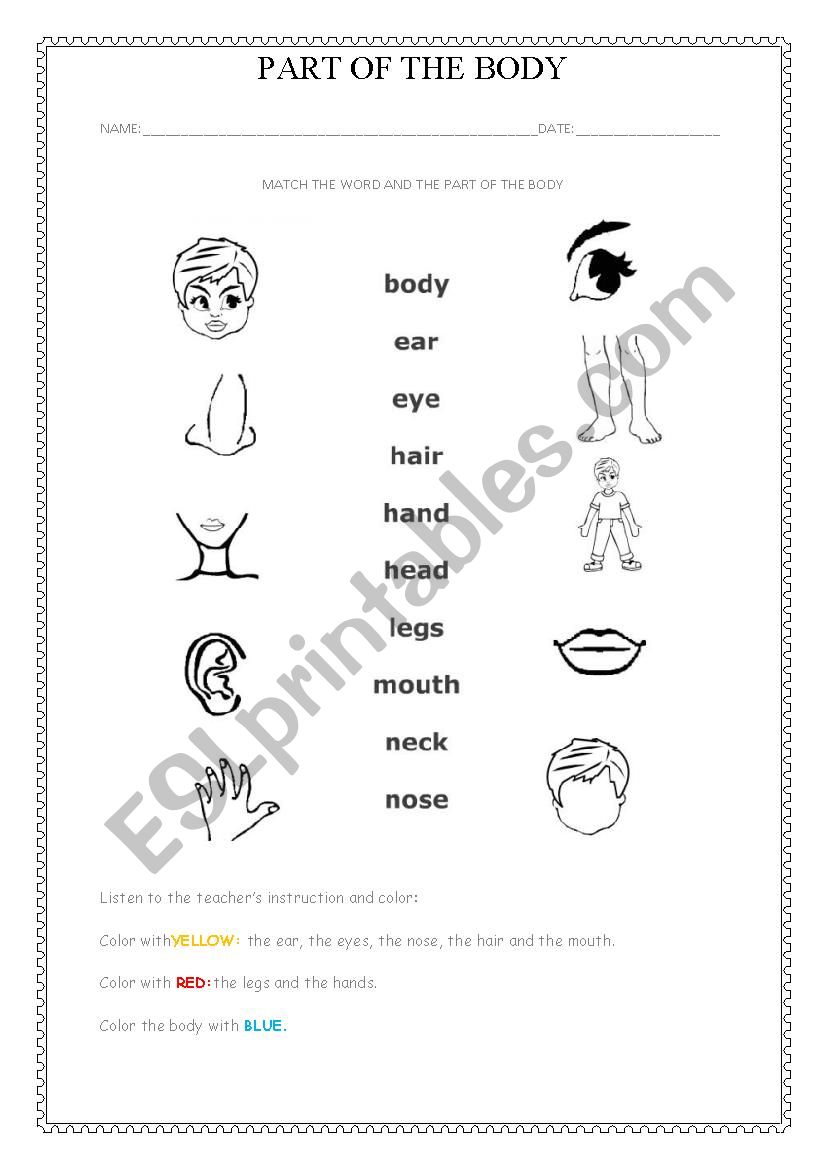 Parts of the Body worksheet