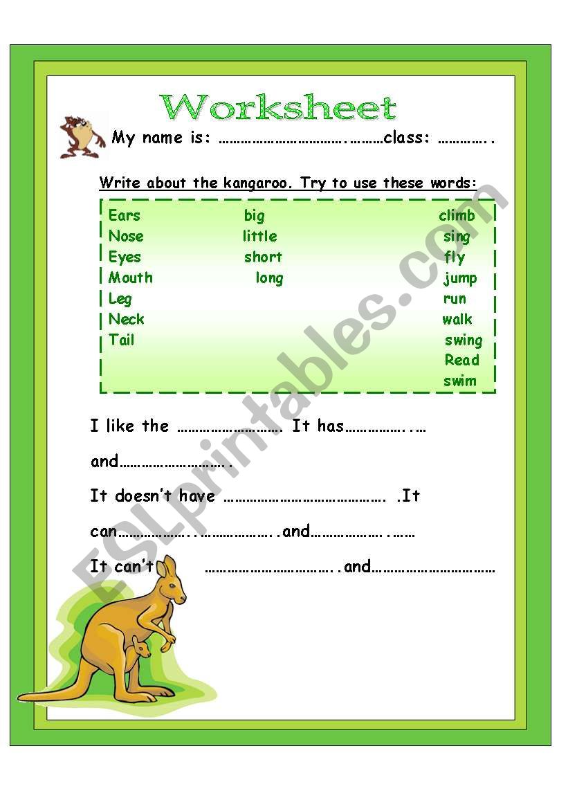 write about kangaroo worksheet