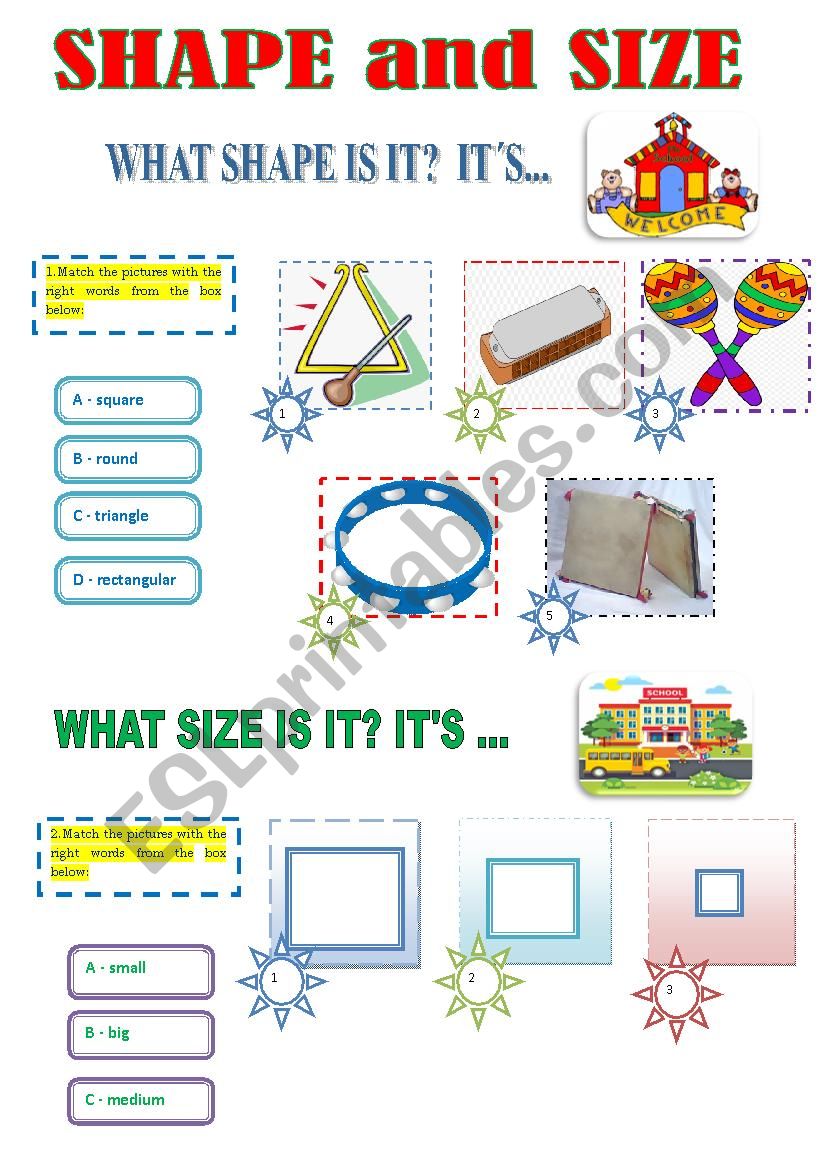 WHAT SHAPE AND SIZE? worksheet