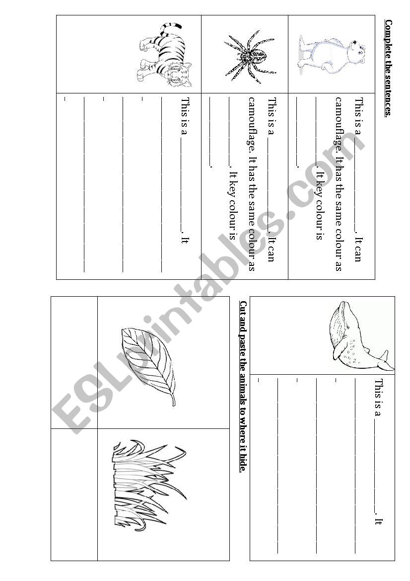 Camouflage worksheet