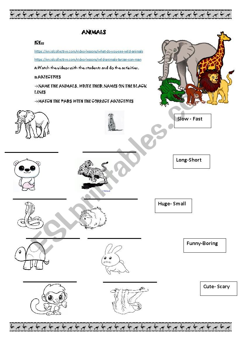 ANIMALS worksheet