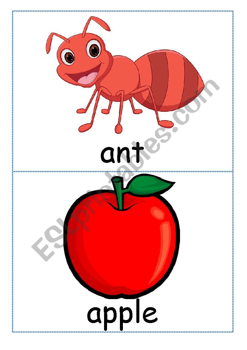 Flashcards - words beginning with letter A
