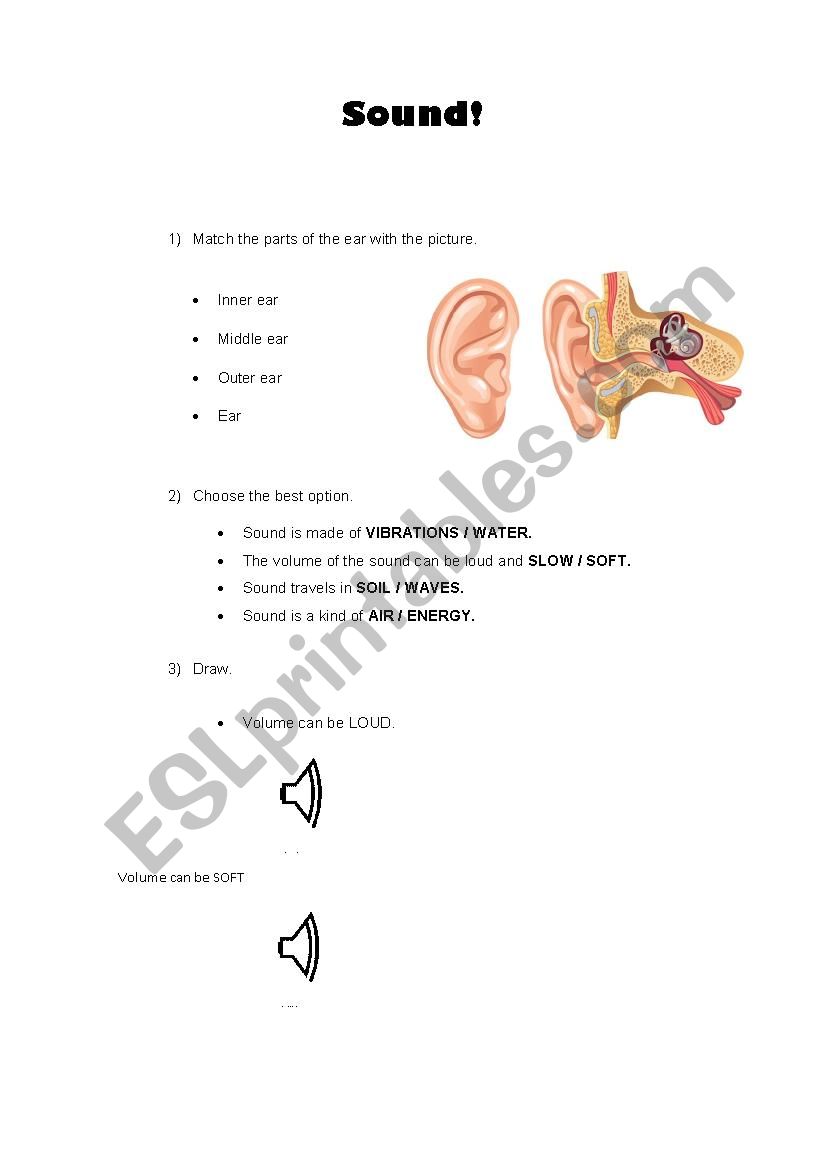 SOUND - ESL worksheet by lorenajbm1