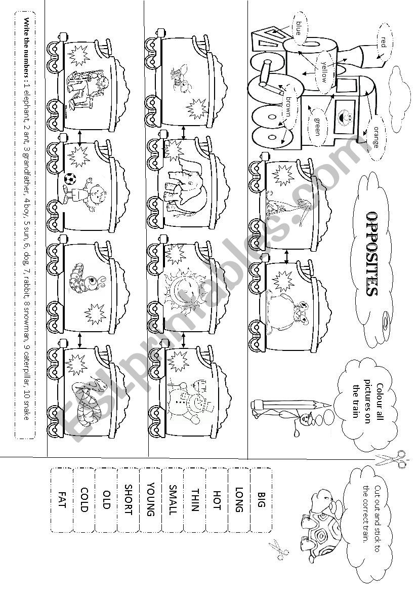 Opposites worksheet