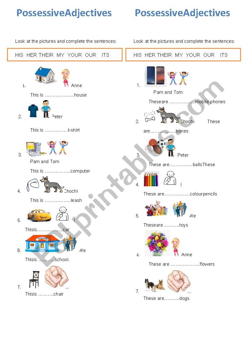 Possessive adjectives worksheet