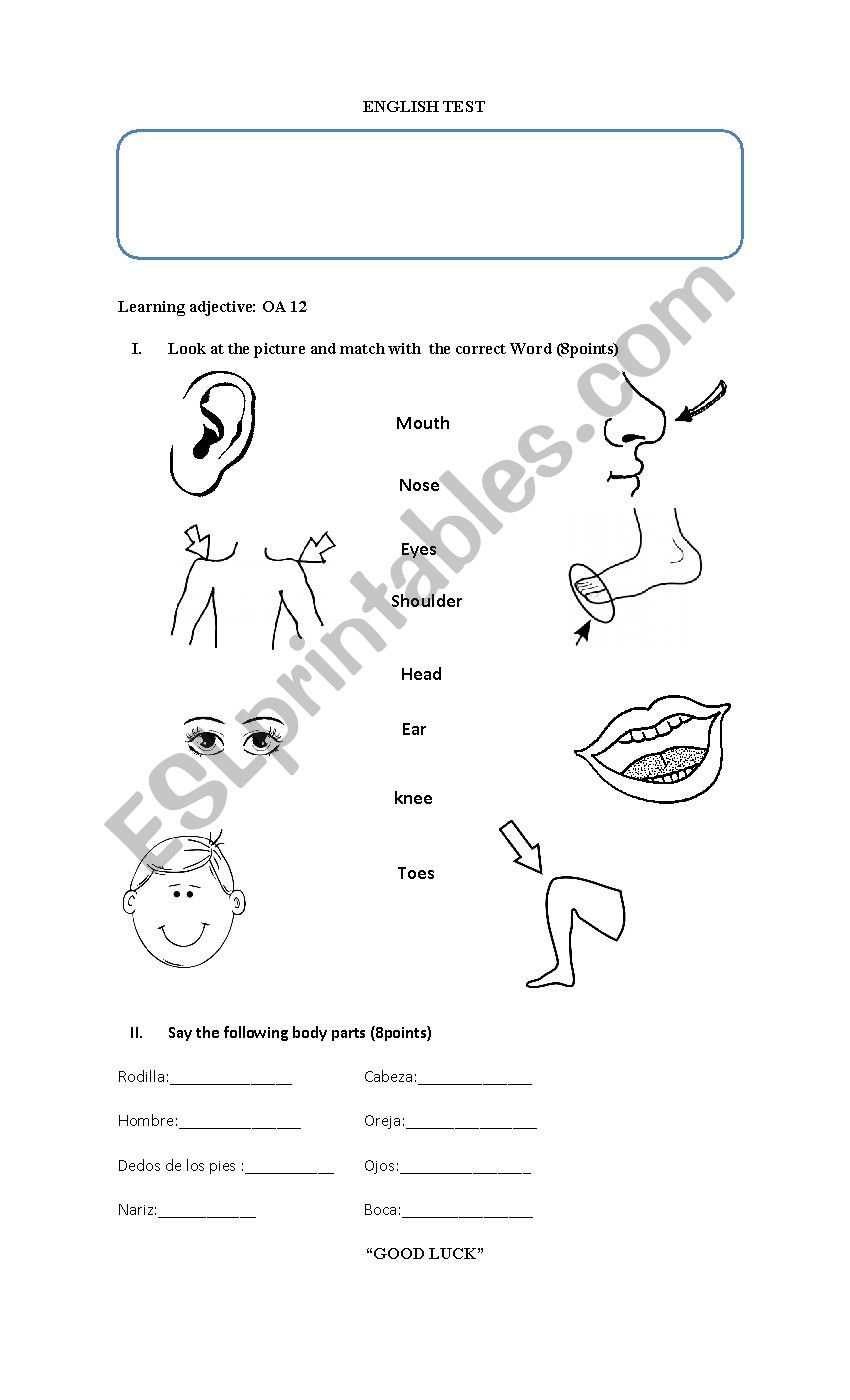 body parts  worksheet