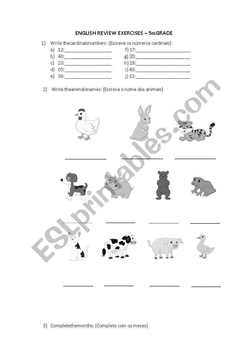 english rewiew worksheet