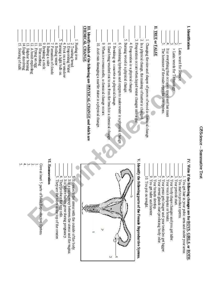 Grade 5 Science worksheet